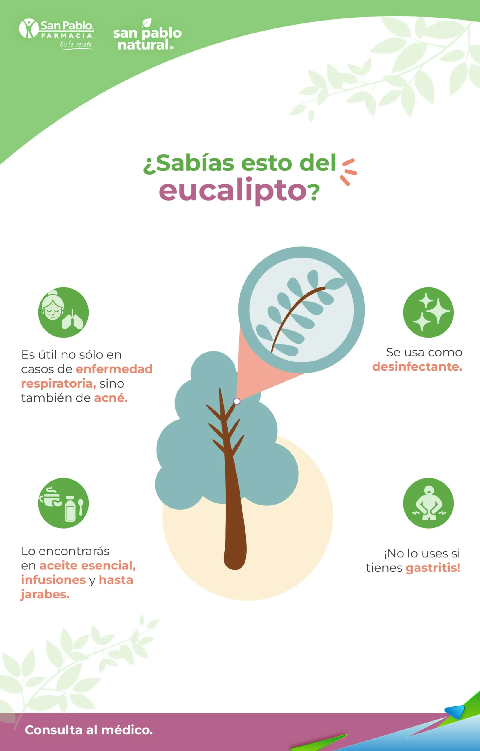 eucalipto receta medicinal - Cómo curar la tos con eucalipto