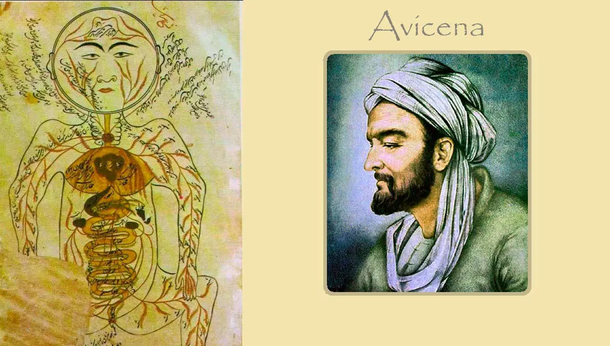avicena aportaciones a la medicina - Cuál fue el aporte de Avicena a la filosofia