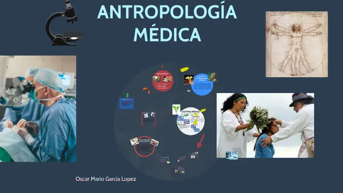 antropologia de la medicina - Cuáles son las ramas de la antropología médica
