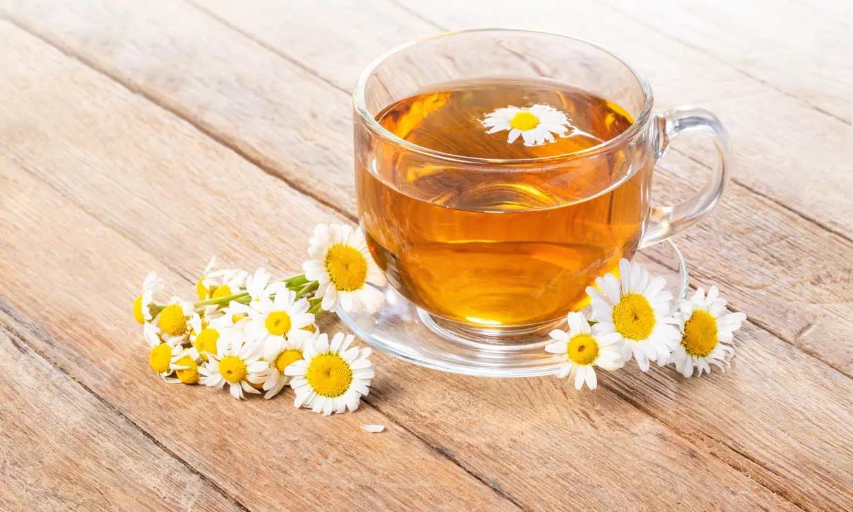 imagenes de manzanilla planta medicinal - Qué diferencia hay entre manzanilla y té de manzanilla