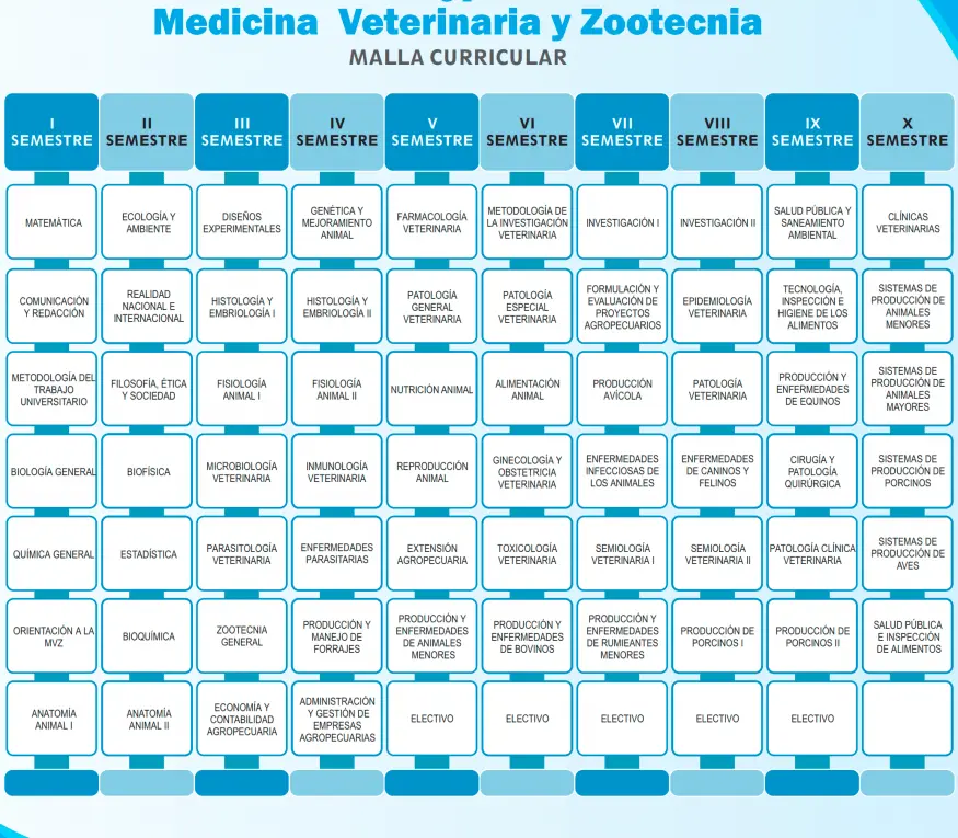 materias de medicina veterinaria y zootecnia - Qué materias lleva la carrera de médico veterinario zootecnista