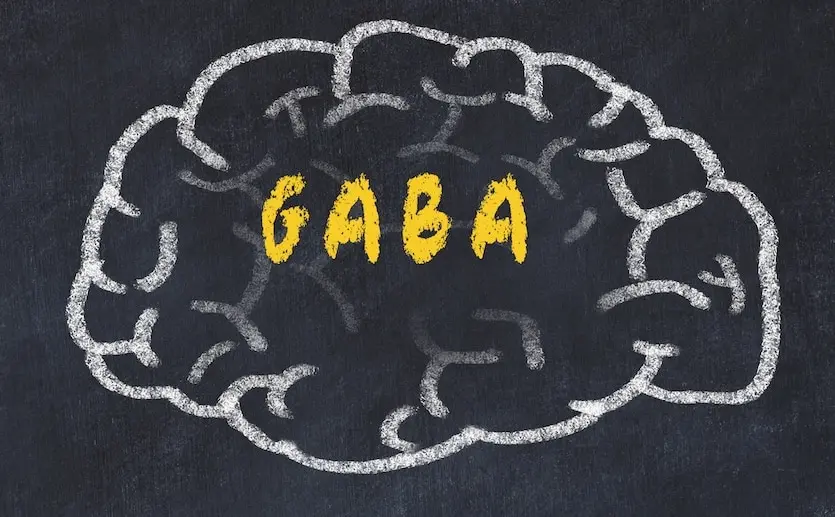 gaba en medicina - Qué tipo de emociones y sensaciones produce el GABA